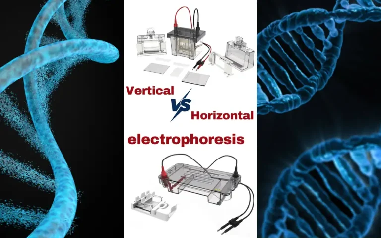 Vertical vs Horizontal electrophoresis : Which One is Better?