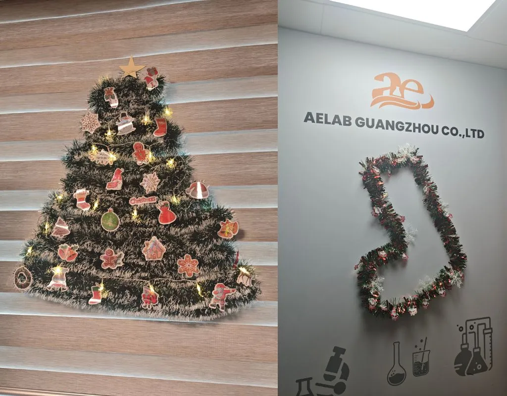 All members of AELAB celebrate Christmas together