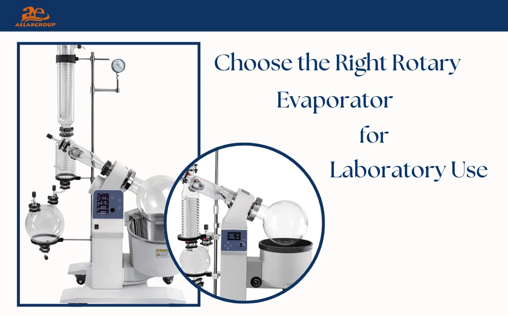 Laboratory rotary evaporator for solvent evaporation and separation