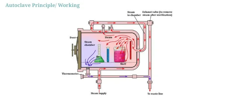 A Guide to Instruments You Can and Cannot Autoclave AELAB
