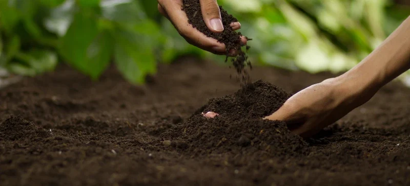 Farmer’s hand inspecting moist soil in the field—emphasizing the practical use of soil analysis tools for on-site evaluation of soil conditions.AELAB