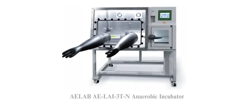 AELAB AE-LAI-3T-N Anaerobic Incubator