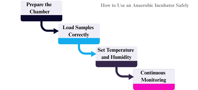 How to Use an Anaerobic Incubator Safely AELAB