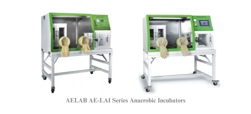 AELAB AE-LAI Series Anaerobic Incubators