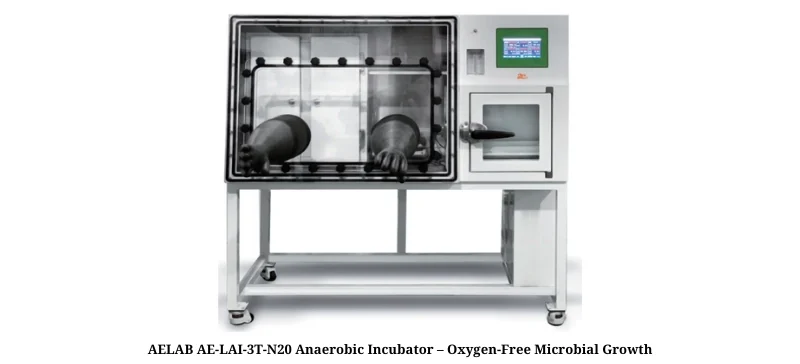 "AELAB anaerobic incubator model AE-LAI-3T-N20