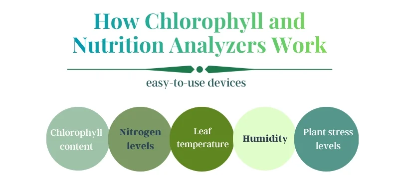 Chlorophyll and nutrition analyzer key metrics: chlorophyll, nitrogen, temperature, humidity, stress AELAB