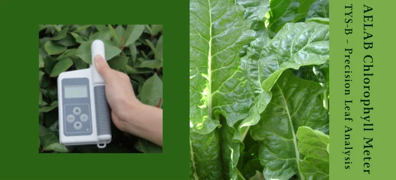 AELAB Chlorophyll Meter TYS-B – Precision Leaf Analysis