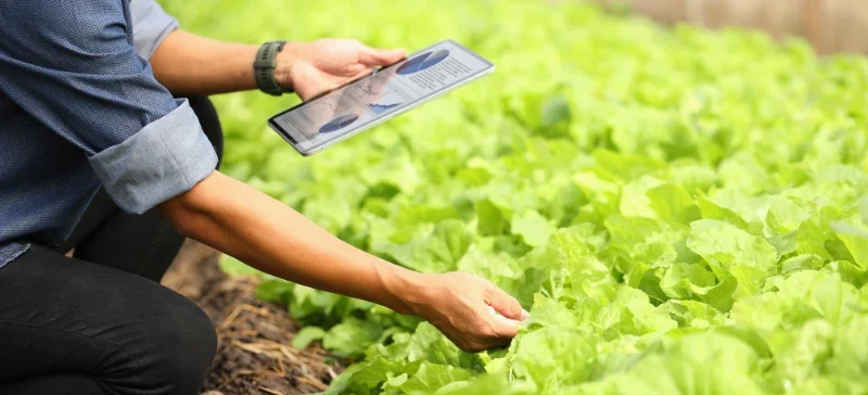 Chlorophyll and Nutrition Analyzers for Better Plant Growth AELAB (7)