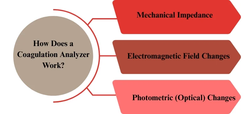 How Does a Coagulation Analyzer Work? AELAB