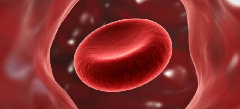 Red blood cell inside blood vessel illustrating blood clotting process analyzed by coagulation TESTER AELAB