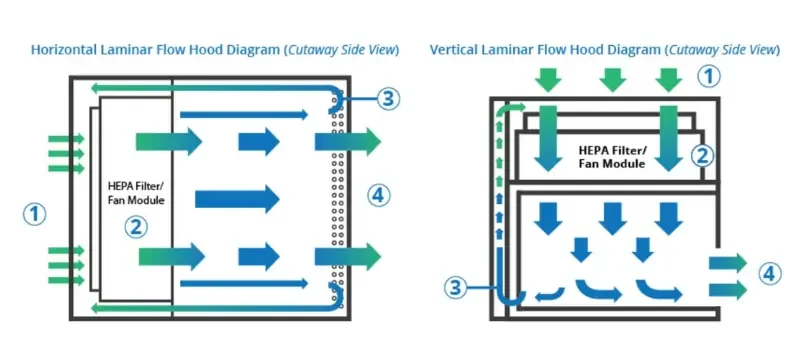 Vertical vs. Horizontal Laminar Flow Cabinets in Your Laboratory Applications AELAB