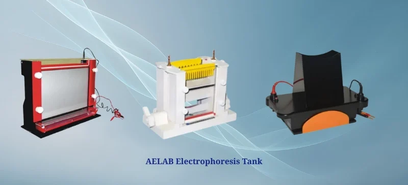 AELAB Electrophoresis Tank