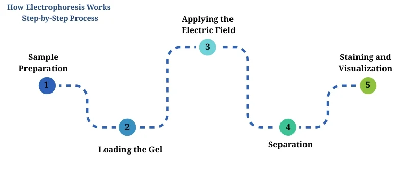Step-by-Step Process AELAB