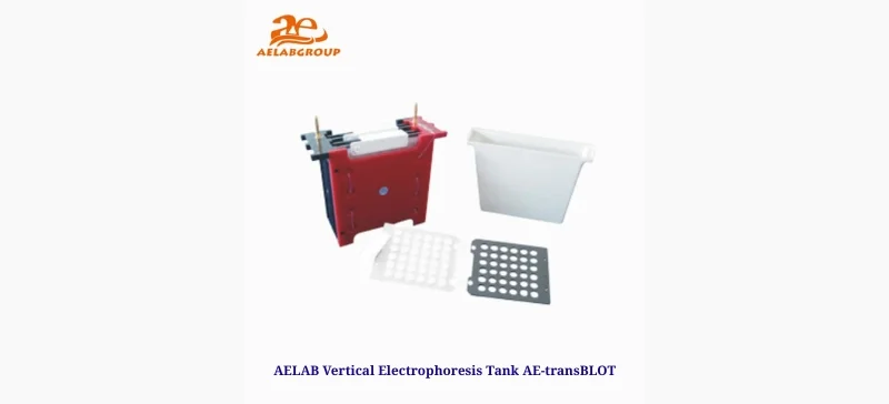 AELAB Vertical AE-transBLOT