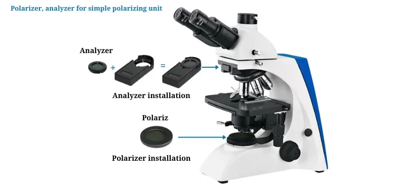 Fluorescence Microscope: The Ultimate Guide AELAB