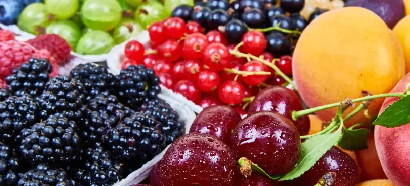 Fruit Hardness Testers Benefits, Uses & Buying Guide AELAB (4)