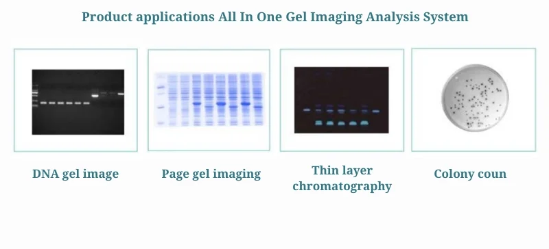 Product applications All In One Gel Imaging Analysis System AELAB
