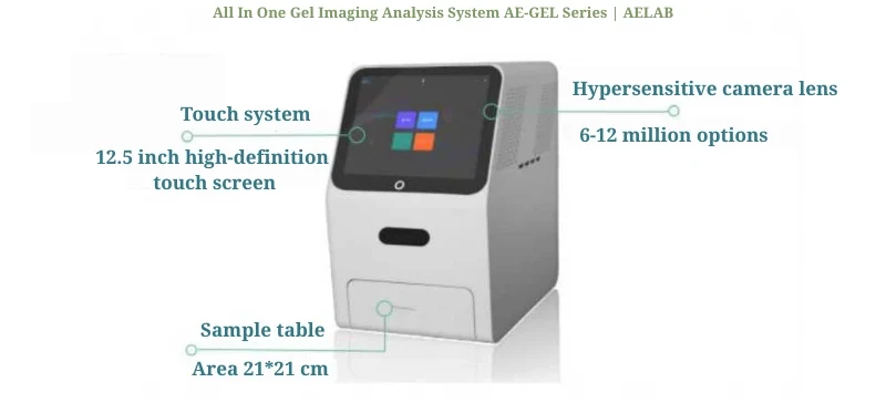 Gel Imaging System Principles, Components & Applications AELAB