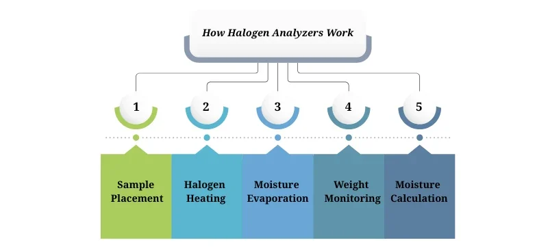 Halogen Moisture Analyzer for Precision Quality Control AELAB (7)
