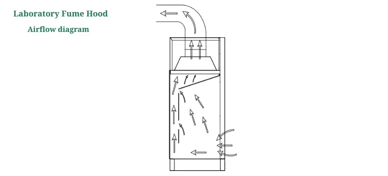 Laboratory Fume Hood Safety Key Practices & Maintenance (2)
