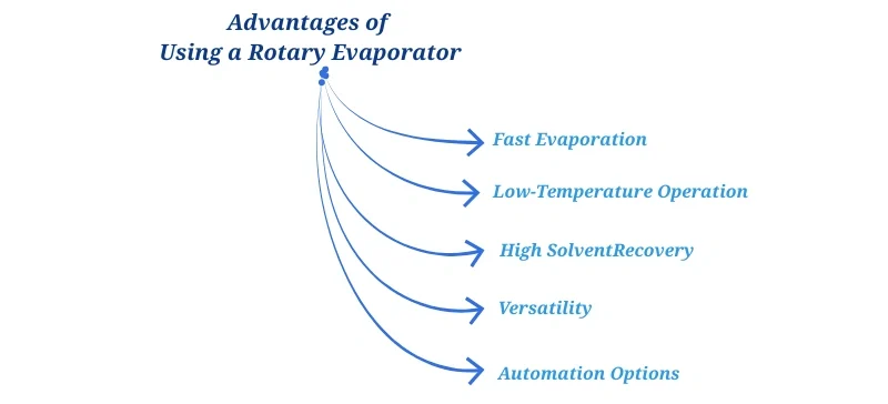 Advantages of Using -AELAB