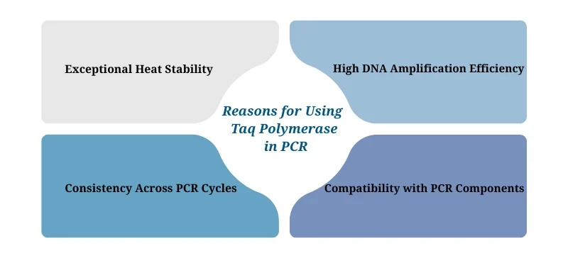 Reasons for Using Taq Polymerase in PCR - AELAB