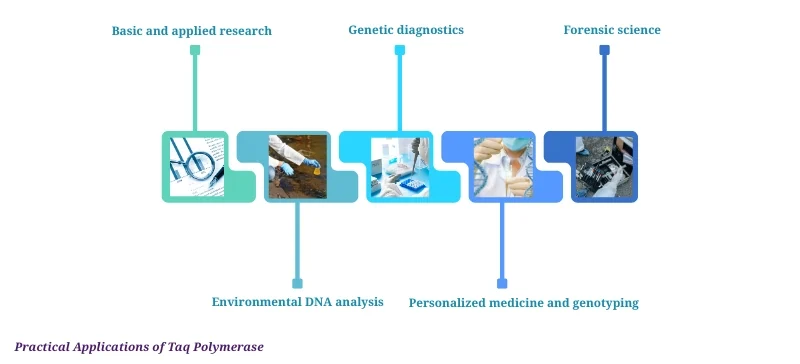 Practical Applications of Taq Polymerase AELAB