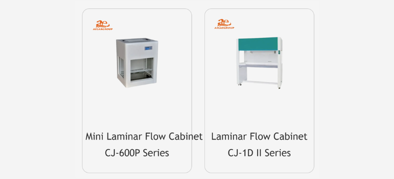 Vertical and Horizontal Laminar Flow Cabinets AELAB