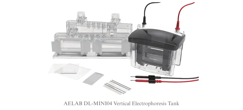 AELAB DL-MINI04 Vertical Electrophoresis Tank