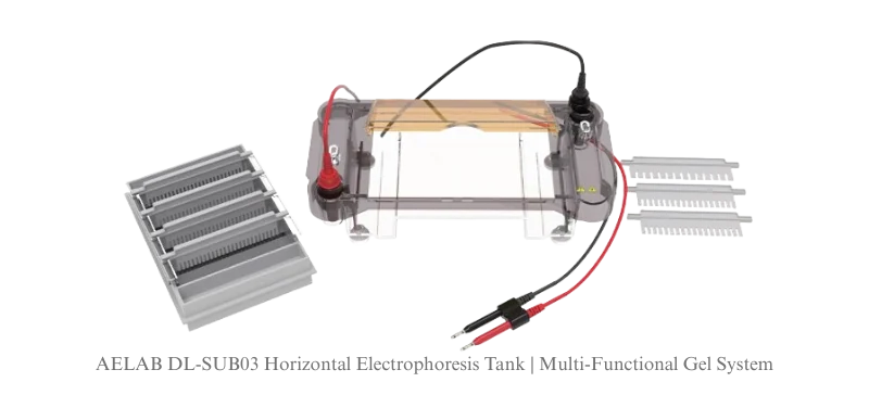 AELAB DL-SUB03 Horizontal Electrophoresis Tank | Multi-Functional Gel System