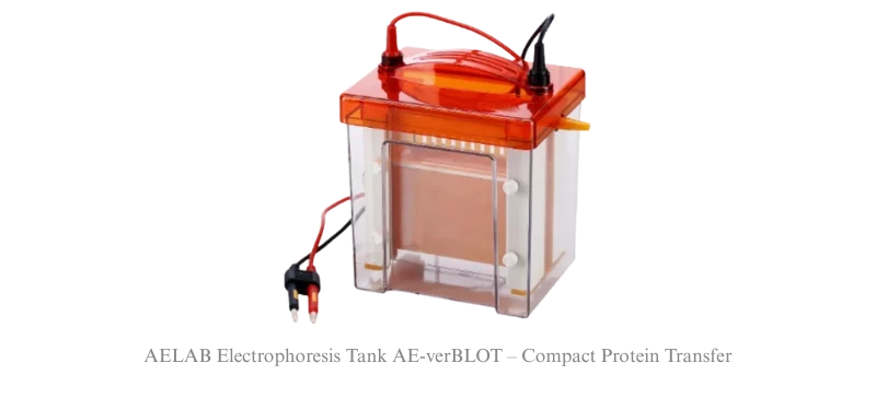 AELAB Compact Gel System for DNA/RNA Separation